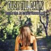 Download track Dusk Till Dawn (Karaoke Instrumental Zayn