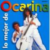 Download track Song Of Ocarina
