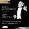 Download track Tchaikovsky: Symphony No. 5 In E Minor, Op. 64, TH 29: II. Andante Cantabile Con Alcuna Licenza (Live)