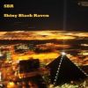 Download track The Shiny Black Ravens
