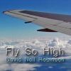 Download track Fly So High