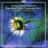 Download track 19. Violin Concerto In F Major TWV 51: F2: I. Vivace