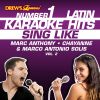 Download track Y Tu Te Vas (Karaoke Version)