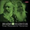 Download track 3. Brahms: Symphony No. 3 - III. Poco Allegretto