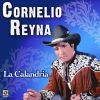 Download track La Calandria