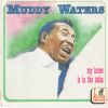 Download track They Call Me Muddy Waters