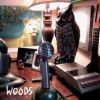 Download track Woods Children, Part 2