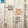 Download track 18. Duet For 2 Flutes In F Minor, F. 58 II. Largo