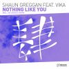 Download track Nothing Like You (Six Senses Extended Remix)