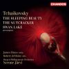 Download track Swan Lake, Op. 20, TH 12, Act II: No. 10, Scène (Moderato)