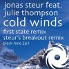 Download track Cold Winds (Steur. S Breakout Remix)