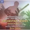 Download track 05. Capriccio For Bassoon & Orchestra (Live)