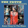Download track Knee Deep In The Blues