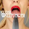 Download track Wallflower