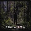 Download track A Different Way