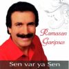 Download track Adım Garip