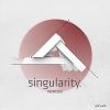 Download track Singularity