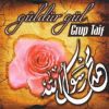 Download track Guldur Gul