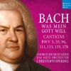 Download track 11. Was Frag Ich Nach Der Welt, BWV 94 V. Die Welt Bekümmert Sich (Recitative & Choral)