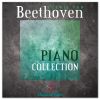 Download track Piano Sonata No. 14 In C-Sharp Minor, Op. 27 No. 2 -Moonlight - II. Allegretto