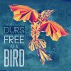 Download track Free As A Bird