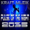 Download track Pulse Of The Night 2035 (Dronix City Remix)