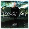 Download track Foolish Boy (Roger Shah Naughty Boy Radio Edit)