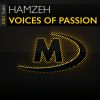 Download track Voices Of Passion (Extended Mix)