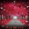 Download track Way Of Life (Original Mix)