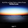 Download track Perfect Love (Radio Edit)