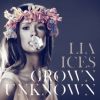 Download track Lilac