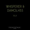 Download track Fly (Nikkolas Research Remix)