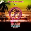 Download track Everybody Loves Miami