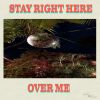 Download track Stay Right Here