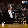Download track Symphony No. 5 In E Minor Op. 64: 3. Valse. Allegro Moderato