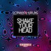 Download track Shake Your Head (Alex Patane' Remix)