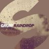 Download track Raindrop (Original Mix)