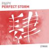 Download track Perfect Storm (Original Mix)
