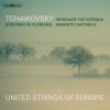 Download track Tchaikovsky: Serenade For Strings In C Major, Op. 48, TH 48: IV. Finale (Tema Russo)