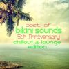 Download track Maledives Beach Lounge Palm Garden Mix