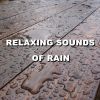 Download track Unsurpassed Dusk Rain Sounds