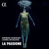Download track Symphony No. 49 In F Minor, Hob. I: 49 'La Passione': II. Allegro Di Molto