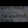 Download track The Adaptive Bunch (Full Brazilian / English Version)