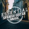 Download track Flamenco Fiesta