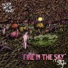 Download track Fire In The Sky