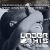 Download track Shine Down (Seth Vogt Remix)