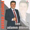 Download track Herşeyimsin