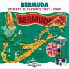 Download track Sunset In Bermuda