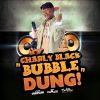 Download track Bubble Dung (Edit)
