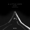 Download track A Little Hope (Nostre Remix)